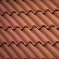 a close up of a roof with a bird on it