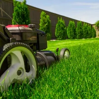 a lawn mower on the grass in a yard