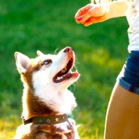 a woman's butt with a frisbee in her hand