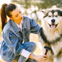 a woman petting a dog in a field