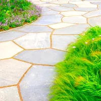 a stone walkway with a green grass and purple flowers