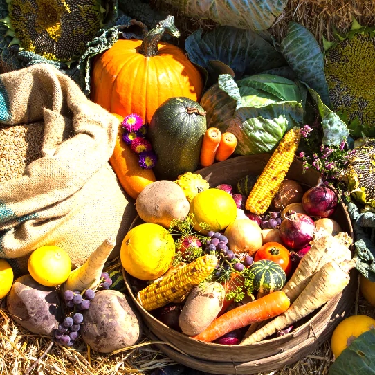 a basket of vegetables and fruits on a hay pile
