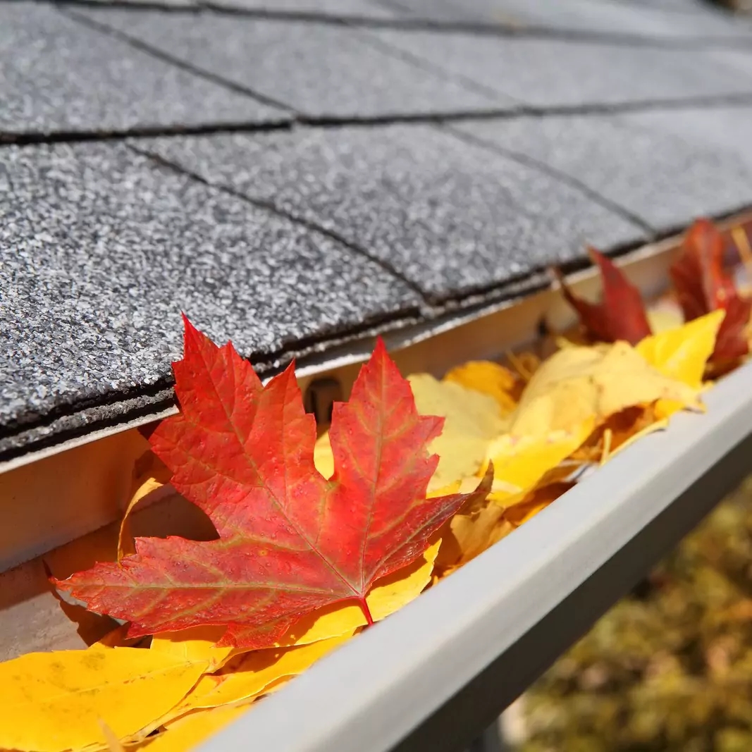 a gutter with a few leaves on the gutter